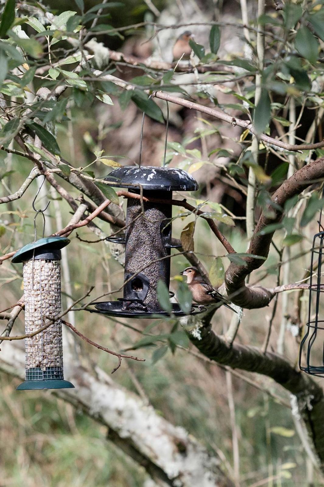 Siskin Guest Suite Kinrara Εξωτερικό φωτογραφία
