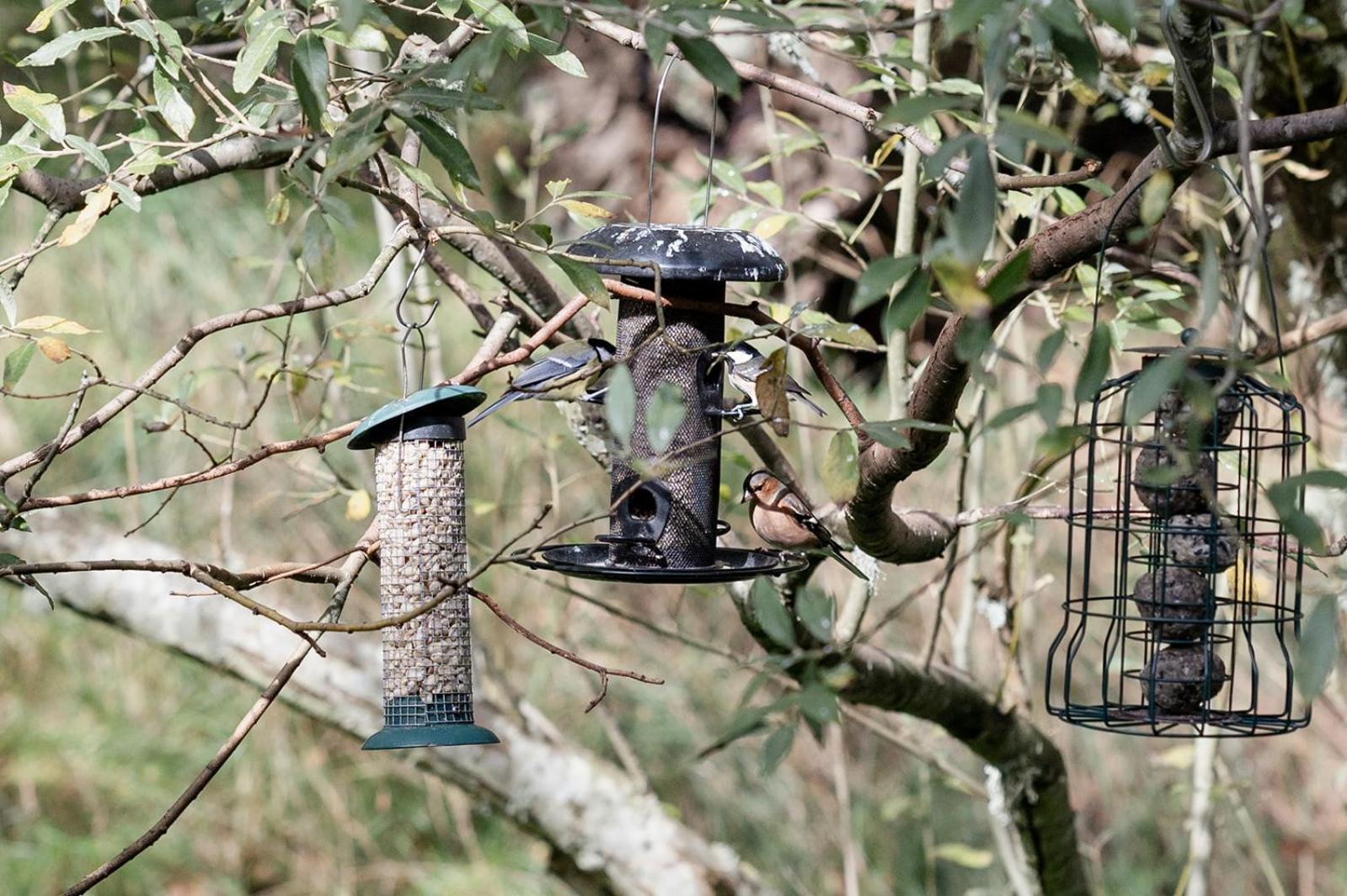 Siskin Guest Suite Kinrara Εξωτερικό φωτογραφία